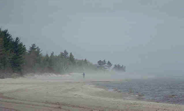 Lake Huron coastline